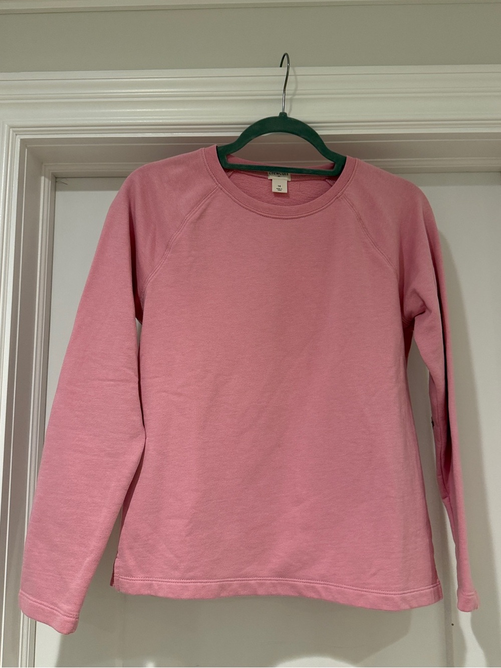 J. Crew Pink Girls Crewneck Sweatshirt